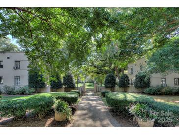 Beautifully landscaped courtyard entrance features lush greenery, mature trees, and an inviting walkway at 1121 Myrtle Ave # 24, Charlotte, NC 28203