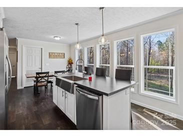 Bright open kitchen featuring a large island with stainless steel sink, pendant lighting, and modern appliances at 33 Travora Cir, York, SC 29745