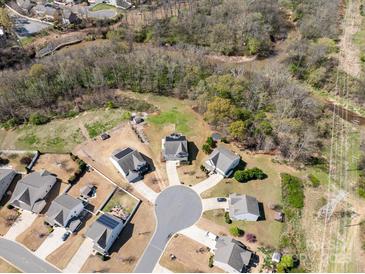 Stunning aerial view of a well-maintained neighborhood with mature trees and a nearby stream at 8137 Bryson Rd, Fort Mill, SC 29707