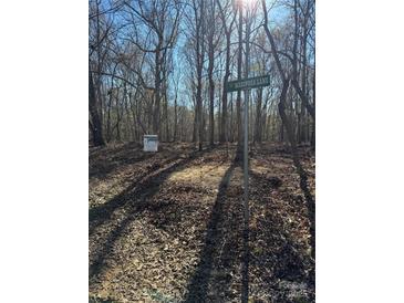 Image of a wooded area with street sign Mariposa Lane at 9947 Lancaster Hwy # 7, Waxhaw, NC 28173