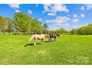 Horses graze in a green pasture under a blue sky with trees on the horizon at 4896 Pageland Hwy, Lancaster, SC 29720