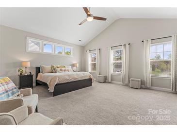 Spacious primary bedroom with vaulted ceilings and large windows for natural light at 10072 Fox Trotter Ln, Midland, NC 28107