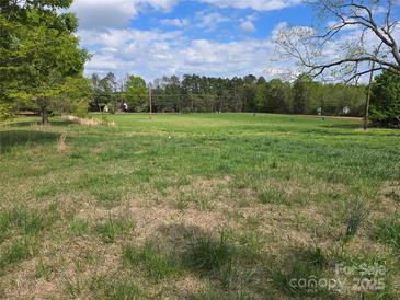 Open grassy land with trees in the background on a sunny day at 1714 Measmer St, Kannapolis, NC 28081