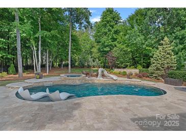 Beautiful in-ground pool surrounded by lush landscaping, featuring a slide and spa at 1102 Anniston Pl, Wesley Chapel, NC 28079