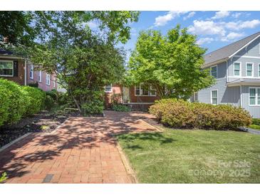 Charming brick home with lush landscaping, a brick walkway, and mature trees in a desirable neighborhood at 2125 Chatham Ave, Charlotte, NC 28205