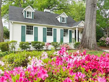 Charming home featuring blooming azaleas, green shutters, and a well-maintained landscaped yard at 3020 Hampton Ave, Charlotte, NC 28207