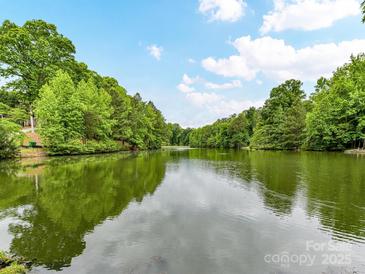Scenic view of a tranquil lake surrounded by lush greenery, reflecting a clear blue sky with scattered clouds at 6017 Lake Providence Ln, Charlotte, NC 28277