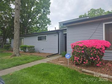 Charming single-story home with gray siding, lush lawn, and vibrant pink azalea bush at 11216 Carmel Chace Dr, Charlotte, NC 28226