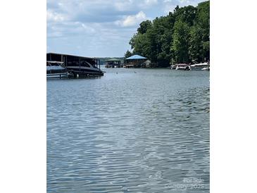 Serene lake view showcasing several boat docks, calm waters, and lush greenery in the background under a partly cloudy sky at 26056 Neptunes Lndg, Fort Mill, SC 29708