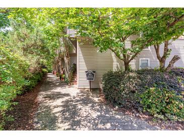 View of the exterior featuring a welcoming pathway and beautifully maintained landscaping at 415 W 7Th St # F, Charlotte, NC 28202