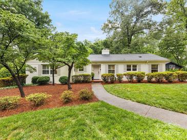 Charming single-story home with a well-maintained front yard, mature trees, and a welcoming walkway at 1300 Rutledge Ave, Charlotte, NC 28211