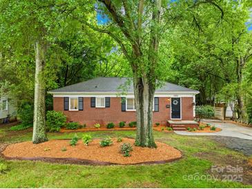 Charming brick home with a well-manicured front yard and mature trees at 4114 Stacy Blvd, Charlotte, NC 28209