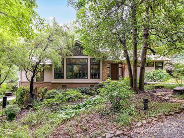 Inviting exterior elevation with lush landscaping, modern windows, and stone accents adding curb appeal at 218 Point Carpenter Rd, Fort Mill, SC 29707
