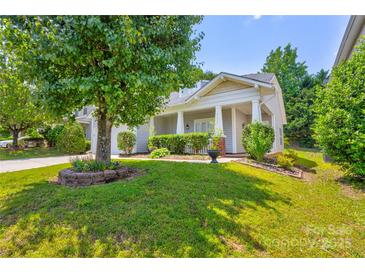 Charming single-story home with a manicured lawn, mature tree, and inviting front porch at 10927 Chrudan Dr, Charlotte, NC 28262