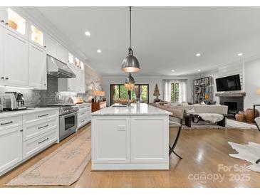Open-concept kitchen with white cabinetry, large island, stainless appliances, and hardwood floors flowing into living area at 1160 S Kings Dr, Charlotte, NC 28207