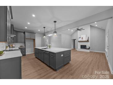 Modern kitchen and living room featuring grey cabinets, stainless appliances and quartz countertops at 209 Stafford Estates Dr, Salisbury, NC 28146