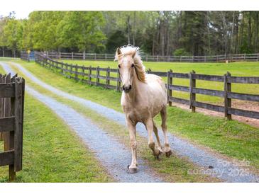 Beautiful paddock features a well-groomed horse with ample space and fencing at 7712 Old Waxhaw Monroe Rd, Waxhaw, NC 28173