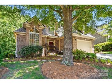 Charming brick home with a well-manicured lawn and mature trees at 10607 Newberry Park Ln, Charlotte, NC 28277