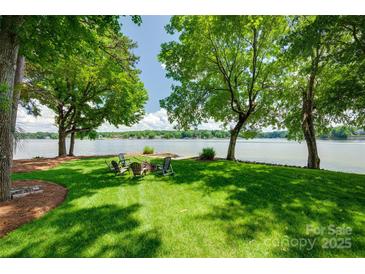 Backyard on the water featuring a firepit and chairs on the lawn, under the shade of mature trees at 4681 Dove Point Ln, York, SC 29745