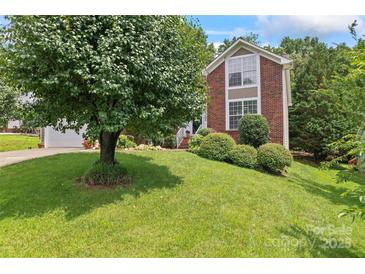Beautiful brick home with a well-manicured lawn and mature landscaping, including a large shade tree at 10043 Elsenham Ln, Charlotte, NC 28269