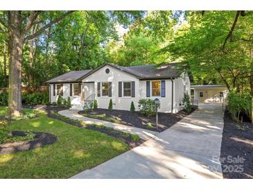 Charming home featuring a landscaped front yard with a stone pathway leading to the entrance at 3519 Campbell Dr, Charlotte, NC 28205