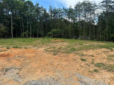 Cleared homesite surrounded by mature trees offers privacy and space for a new home at 1524 Conestoga Xing, Catawba, NC 28609