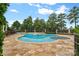 Inviting pool area with a spa, lounge chairs, and a beautiful patio at 18019 Harbor Light Blvd, Cornelius, NC 28031