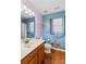 Bathroom with ocean mural, single sink vanity, and toilet at 286 Glencoe Ln, Mooresville, NC 28117