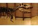 Close up of a Tyrannosaurus Rex skeleton on display at 4223 S New Hope Rd # 8, Cramerton, NC 28032