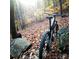 A high quality mountain bike in a wooded area during autumn at 4223 S New Hope Rd # 8, Cramerton, NC 28032