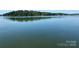 Serene view of a calm lake and lush trees at 121 Pebble Creek Dr, Stony Point, NC 28678