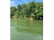 Wooded lakefront lot with gentle slope to the water at 121 Pebble Creek Dr, Stony Point, NC 28678