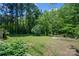 Spacious backyard with lush trees at 1571 Branchville Rd, Shelby, NC 28150