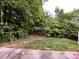 Backyard with green lawn and trees at 10875 Holly Ridge Blvd, Charlotte, NC 28216