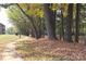 Autumn leaves line a paved walkway, surrounded by tall trees at 1645 Arlyn Cir # J, Charlotte, NC 28213