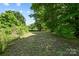 Overgrown backyard area with mature trees at 37 Knox St, Salisbury, NC 28144