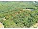This aerial view highlights the property's location within a lush green, heavily-treed area at 4658 Sugar Plum Ln, Davidson, NC 28036