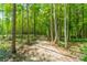 Peaceful nature trail winding through lush woods at 1052 Ventosa Dr, Denver, NC 28037