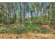 Backyard view of property at 6133 Long Branch Rd, Salisbury, NC 28147