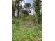 Wooded lot with lush vegetation and mature trees at 7741 Marlette Ln, Sherrills Ford, NC 28673
