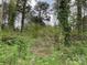 Wooded lot with lush vegetation and mature trees at 7741 Marlette Ln, Sherrills Ford, NC 28673