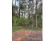 Wooded lot with lush vegetation and mature trees at 7741 Marlette Ln, Sherrills Ford, NC 28673