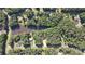 Aerial view showing a house on a wooded lot near a pond at 248 Pioneer Dr # 990, Mount Gilead, NC 27306