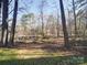 Wooded backyard with a pond view at 248 Pioneer Dr # 990, Mount Gilead, NC 27306