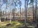 Wooded backyard with pond view and grassy area at 248 Pioneer Dr # 990, Mount Gilead, NC 27306