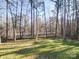 Wooded backyard with pond view and grassy area at 248 Pioneer Dr # 990, Mount Gilead, NC 27306