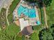Aerial view of a community pool area with lounge chairs, umbrellas, and lush green trees at 7378 Winery Ln, Charlotte, NC 28227