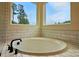 Close up of the white garden tub that is set below two large windows at 2027 Cedar Falls Dr # 75, Waxhaw, NC 28173