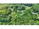 Aerial view showing house and surrounding wooded area at 7507 Waxhaw Creek Rd, Waxhaw, NC 28173