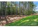 Grassy backyard surrounded by tall trees, creating a private natural retreat at 2024 Cedar Falls Dr # 9, Waxhaw, NC 28173
